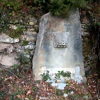 DSCN6683