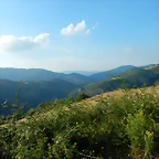 DSCN9289