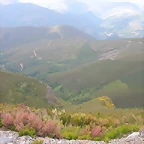 DSCN2264