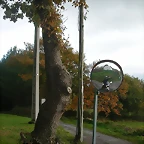 DSCN4715
