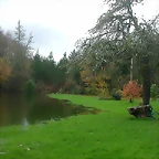 DSCN4719