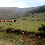 DSCN8148