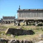 DSCN7867