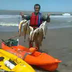 Ariel corvinas kayak