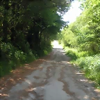 DSCN5391