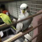 IMG_20180105_230518