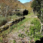 DSCN9082