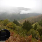 DSCN8495