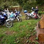 DSCN6842