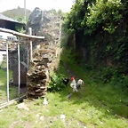DSCN1202