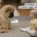Beb y perro