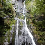 DSCN8711