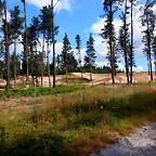 DSCN6315