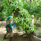 zelda03