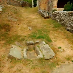 DSCN6892