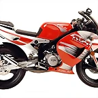 Rieju RS1
