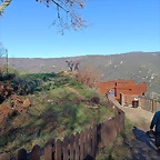 DSCN1572'4