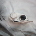 IMGP2158
