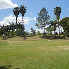 DSCN0126