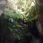 DSCN4225