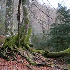 DSCN0708