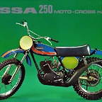 ossa_phantom_broc