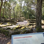 13-IMG_5429