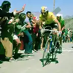 HINAUL,ZOETEMEL,TOUR 1979 ALPE  DHUEZ