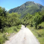 DSCN8482