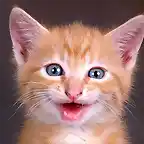 Sonrisa de Gatito_800