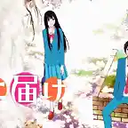 Kimi ni Todoke