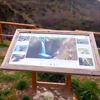 DSCN4337