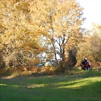 DSCN9279