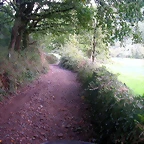 DSCN5368
