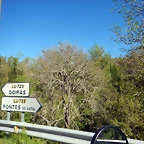 DSCN0090