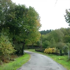DSCN5826