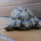 P1110601