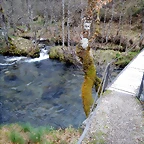 DSCN3962