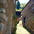 DSCN7749