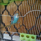 IMG_20190306_155056