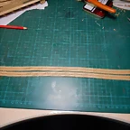 DSCN5999