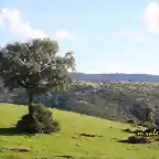 20, en el cerro del Gorgoritn, marca