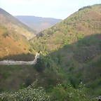 DSCN6822