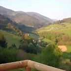 DSCN6833