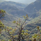 12-IMG_3486