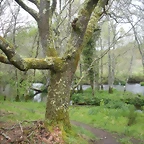 DSCN4161