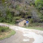 DSCN3937
