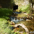 DSCN8989