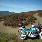 DSCN5105