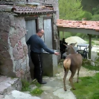 DSCN4656